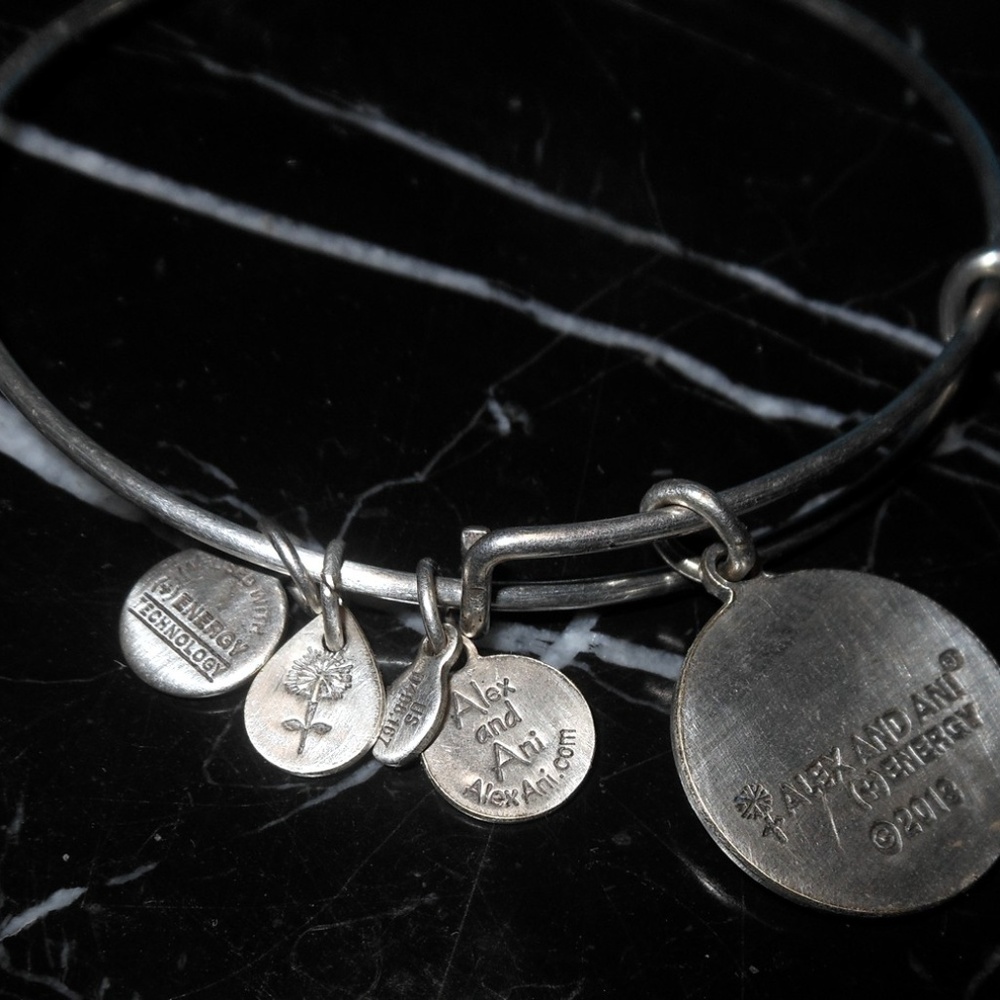 Alex And Ani Endless Loop Charm Silver Rafaeilian - Picture 2 of 8